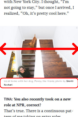 At 320px, the image of Liz Danzico and her dog spans the browser width, and the caption is below.