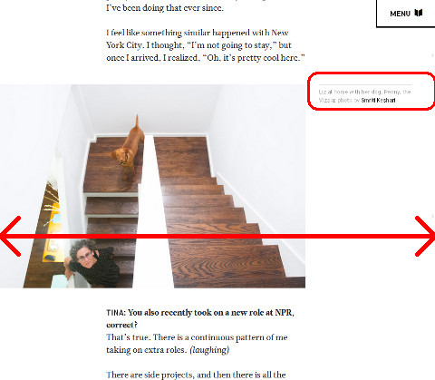 Over 990px, the image of Liz Danzico and her dog takes up around two-thirds of the screen, and the caption moves to the right.